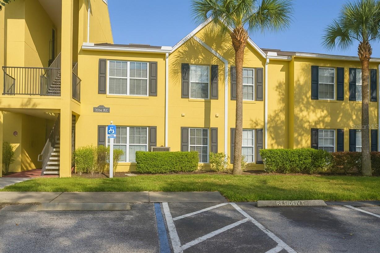 Orange -Dixie Belle Dr2059n